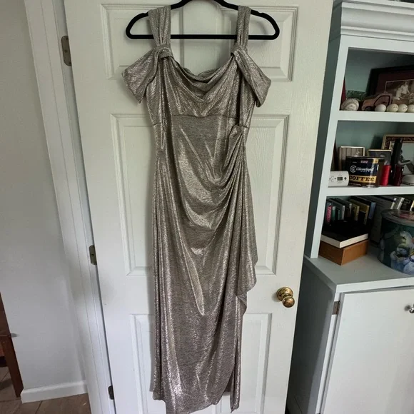 Alex Evenings | Dresses | Alex Evenings Metallic Silverchampagne Gown Size 8 Worn Once Euc | Poshmark Alex Evenings | Dresses | Alex Evenings Metallic Silverchampagne Gown Size 8 Worn Once Euc | Poshmark